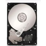 Seagate Cheetah 15K.7 600GB, 3,5", 15000rpm, SCSI, ST3600057SS – Zboží Mobilmania