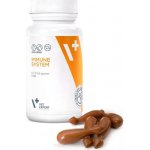 VetExpert Immune system přípravek podporující imunitu u psů a koček 30 kapslí – Hledejceny.cz