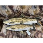 Gaby polštářek ryba Amur 75 cm – Sleviste.cz