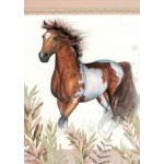 Pohlednice Kůň malovaný 5 – Zboží Dáma