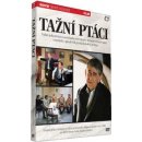 Tažní ptáci DVD