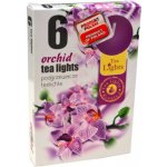 Admit Tea Lights Orchid 6 ks – Sleviste.cz