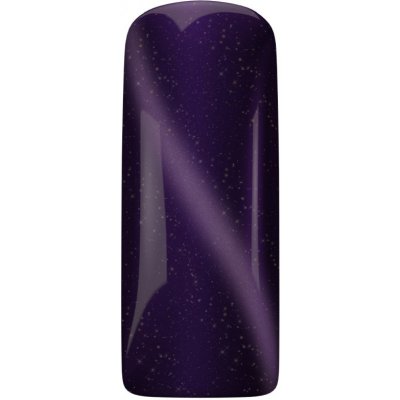 Magnetic Nail Cat Eye Amethyst Magnetický gel lak na nehty Kočičí oko 15 ml – Zbozi.Blesk.cz