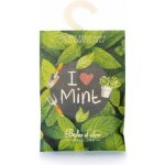 Boles d´olor Vonný sáček velký papírový 12 x 17 x 0,3 cm I Love Mint – Hledejceny.cz