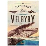 Nádherný svět moří a oceánů Velryby - Eliseo García Nieto – Hledejceny.cz
