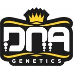 DNA Genetics MacNana Auto semena neobsahují THC 5 ks – Zboží Dáma