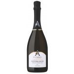 Terra Serena Serena Prosecco Ville D'Arfanta Valdobbiadene Millesimato Brut 11% 0,75 l (holá láhev) – Zboží Dáma