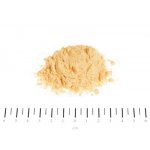 Canina Dog Immun Protect 300 g – Hledejceny.cz