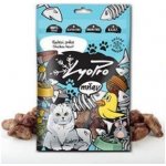 LyoPro CAT Kuřecí srdce 50 g – Zbozi.Blesk.cz