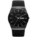 Skagen SKW6006