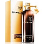 Montale Aoud Forest parfémovaná voda unisex 100 ml – Hledejceny.cz