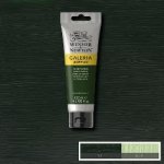 Akrylová barva Winsor & Newton Galeria 120 ml Hooker S Green – Hledejceny.cz