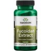 Doplněk stravy Swanson Fucoidan Extract 60 kapslí 500 mg