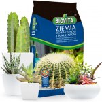 BIOVITA Země Substrát pro kaktusy a sukulenty 5 l – Hledejceny.cz