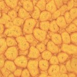 Pebeo Fantasy efektová barva Prisme 45 ml Buttercup – Hledejceny.cz