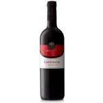 Cantine Due Palme Salento Negroamaro "Canonico" IGP 2023 12,5% 0,75 l (holá láhev) – Hledejceny.cz