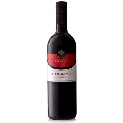 Cantine Due Palme Salento Negroamaro "Canonico" IGP 2023 12,5% 0,75 l (holá láhev) – Hledejceny.cz
