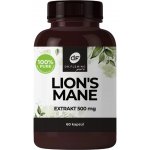 Dr. Fleming Lion's Mane Extrakt 60 kapslí – Hledejceny.cz
