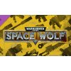 Hra na PC Warhammer 40,000: Space Wolf - Exceptional Card Pack