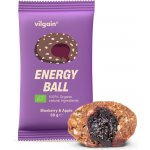 Vilgain Energy Ball BIO borůvka a jablko 30 g – Hledejceny.cz