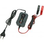 Compass 1Amp 6/12V | Zboží Auto