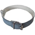 Sedlářství Doležel Obojek na psa kožený – Zboží Mobilmania