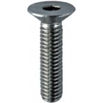 Hahn Steel Imbusový šroub M6 x 16 mm, Nerez AISI 304, surový stav – Zboží Mobilmania