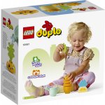 LEGO® DUPLO® 10981 Pěstování mrkve – Zboží Živě