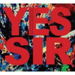 Penny Rimbaud - Yes Sir The Truth of Revolution CD – Sleviste.cz