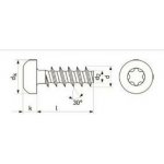 Killich šroub do plastu 3.0x10 F ČERNÝ ZINEK půlkulatá hlava TORX 10, tupý, PLASFAST 30 [1 ks] – Sleviste.cz