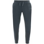 Athl. DPT. pánské tepláky Emisfero lead šedá – Zboží Dáma