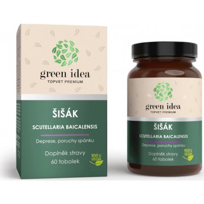 Green idea Šišák bylinný extrakt 60 tablet – Hledejceny.cz