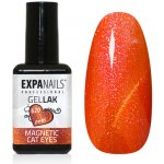 Expa nails expanails uv gel lak 3d magnetic cat eye 620 5 ml