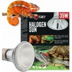 Repti Planet Halogen Sun 35 W – Hledejceny.cz