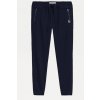 Pánské džíny Tommy Jeans Tommy Hilfiger kalhoty Scanton slim fit joggers tmavě modré