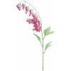 Květina Dicentra fialová (beauty) v86 cm (N956916)