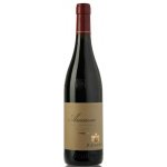 Amarone della Valpolicella Classico DOCG 16,5% 0,75 l (holá láhev) – Hledejceny.cz