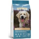 Divinus Adult Dospělý 20 kg – Hledejceny.cz