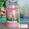 Yankee Candle The Last Paradise 623 g