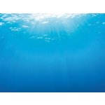 Juwel pozadí Poster 2 L Blue Water 100 x 50 cm – Sleviste.cz
