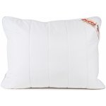 Dadka Prošívaný antibakteriální polštář Exclusive Stříbrná z dutého vlákna bílý 500g 40x60 – Sleviste.cz