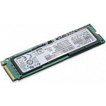 Lenovo 256GB, 4XB0N10299