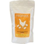 Propoul plv 500 g – Sleviste.cz