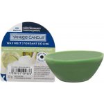 Yankee Candle THE LAST PARADISE vonný vosk do aromalampy 22 g – Hledejceny.cz