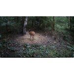 OXE Viper – Zboží Živě