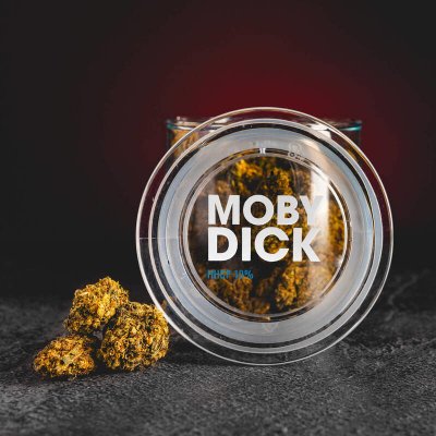Kratom World HHCP Květy Moby Dick 10% THC do 1% 2g – Zboží Mobilmania