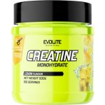 Evolite Creatine Monohydrate 500 g – Zboží Mobilmania