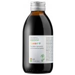 Dědek kořenář Gambit-P 200 ml – Hledejceny.cz