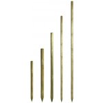 Kůl se špicí 60/1500mm BOROVICE – Zboží Mobilmania