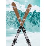 Bogner Ski Bamboo VT8 20/21 – Hledejceny.cz